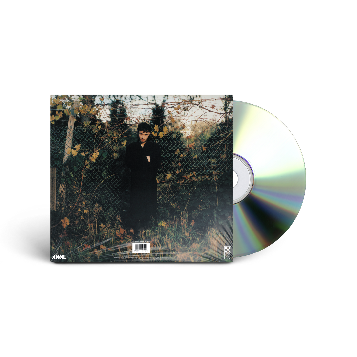 CD